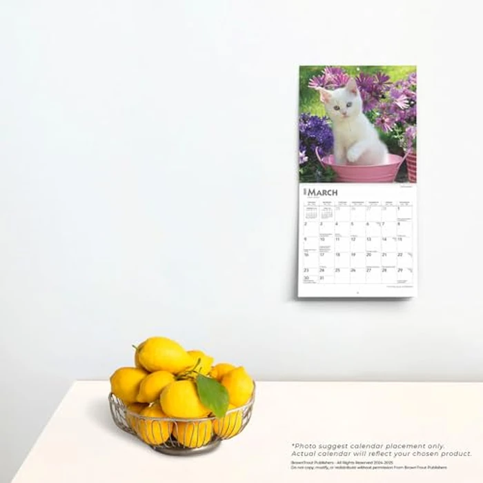 For the Love of Kittens | 2025 7 x 14 Inch Monthly Mini Wall Calendar | BrownTrout | Animals Cats Feline by BrownTrout - Image 3