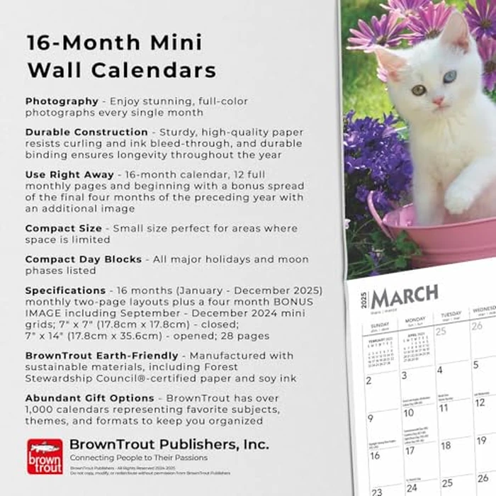 For the Love of Kittens | 2025 7 x 14 Inch Monthly Mini Wall Calendar | BrownTrout | Animals Cats Feline by BrownTrout - Image 4
