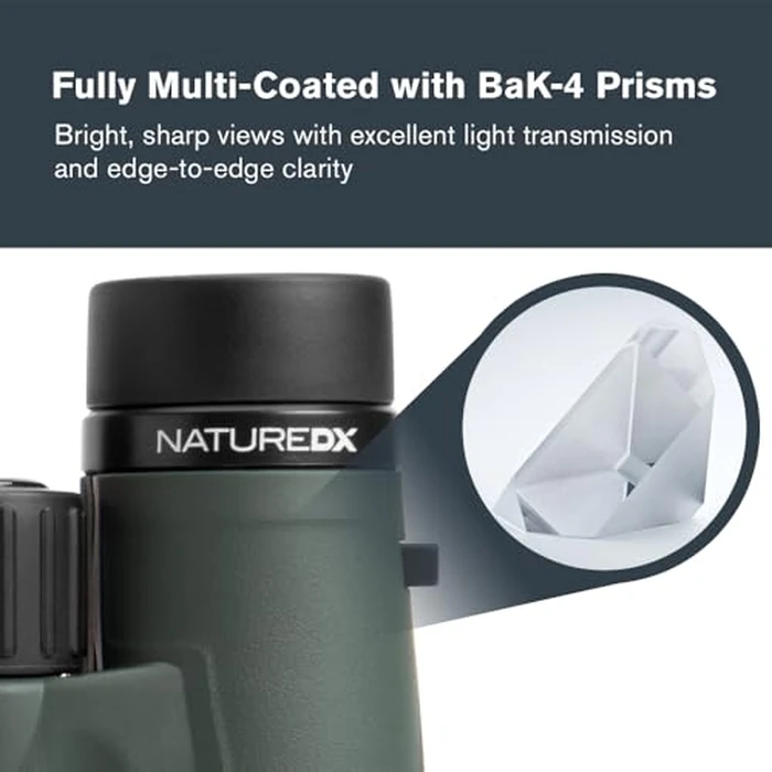 Celestron - Nature DX 8x42 Binoculars - Ideal for Birding and Outdoors - 42mm Objective Lenses - Wide 7.4 degrees Field of View - BaK-4 Prisms - Fully Multi-Coated - Waterproof and Fogproof by Celestron - Image 3