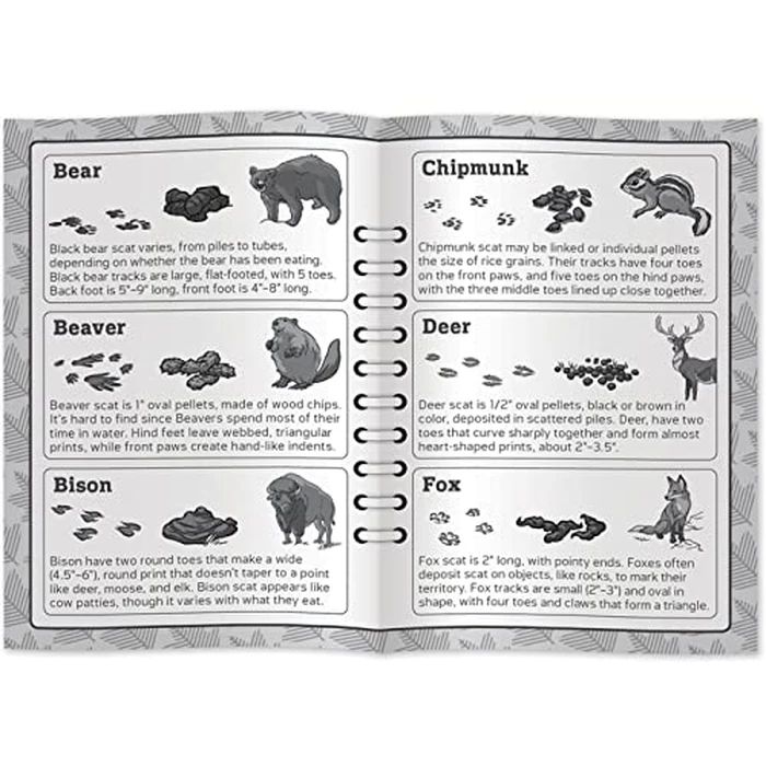 Masterpieces Jr Ranger Poop Tracks Card Game, Ages 6+, 2-6 Players, Medium by Masterpieces - Image 2