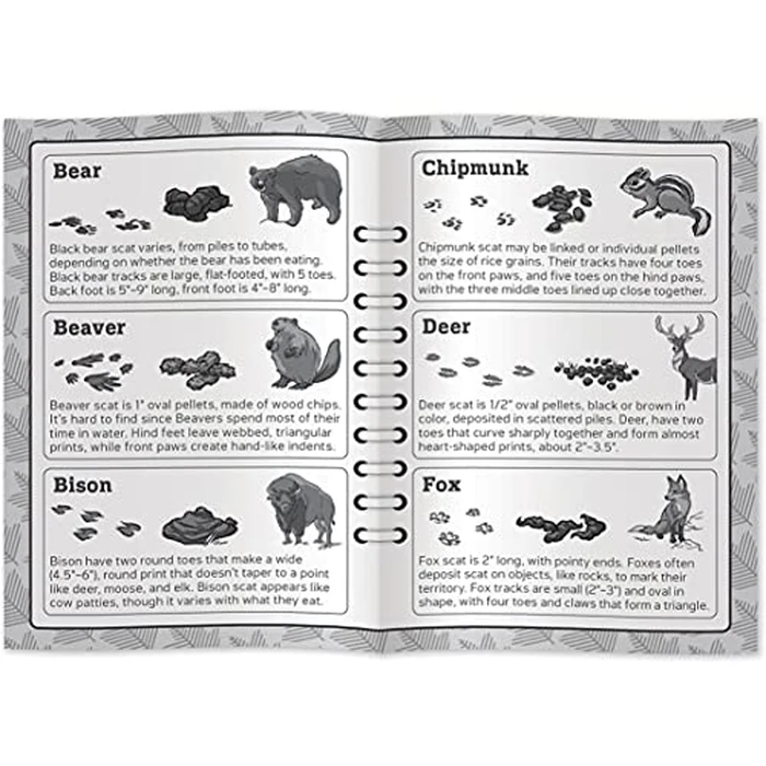 Masterpieces Jr Ranger Poop Tracks Card Game, Ages 6+, 2-6 Players, Medium by Masterpieces - Image 5