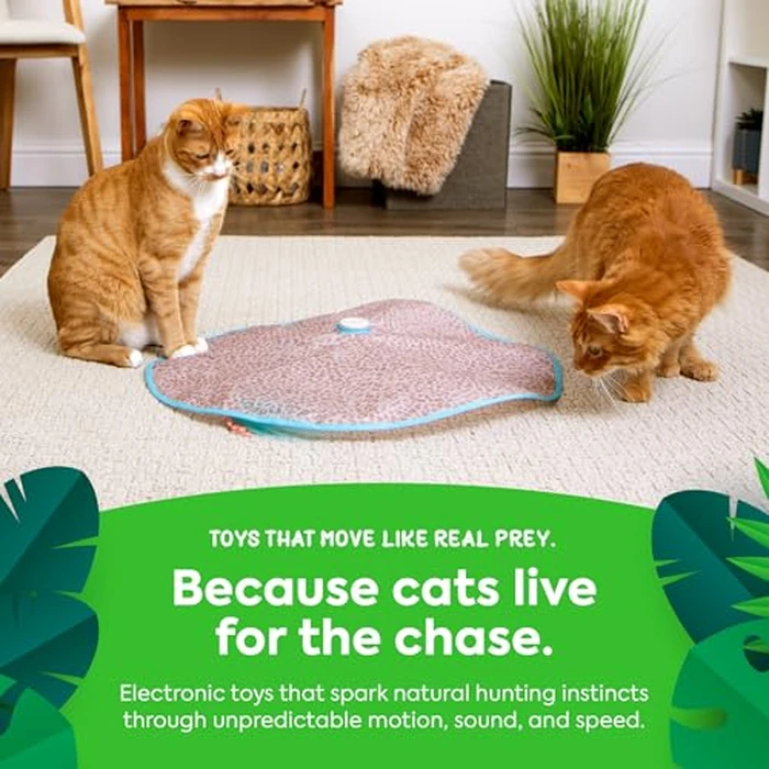 SmartyKat Hidden Hijinks Toy for Indoor Cats & Kittens, Electronic Interactive Motion Toy, Featuring Teaser Wand, Plus Replaceable Batteries Included by SmartyKat - Image 5