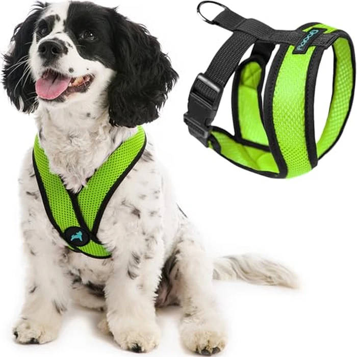 Gooby Comfort X Head in Harness - Green, Medium - No Pull Small Dog Harness Patented Choke-Free X Frame - On The Go Dog Harness for Medium Dogs No Pull or Small Dogs for Indoor and Outdoor Use by GOOBY - Image 1