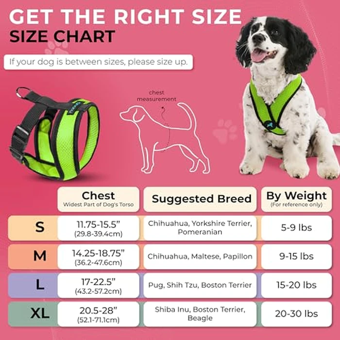 Gooby Comfort X Head in Harness - Green, Medium - No Pull Small Dog Harness Patented Choke-Free X Frame - On The Go Dog Harness for Medium Dogs No Pull or Small Dogs for Indoor and Outdoor Use by GOOBY - Image 3