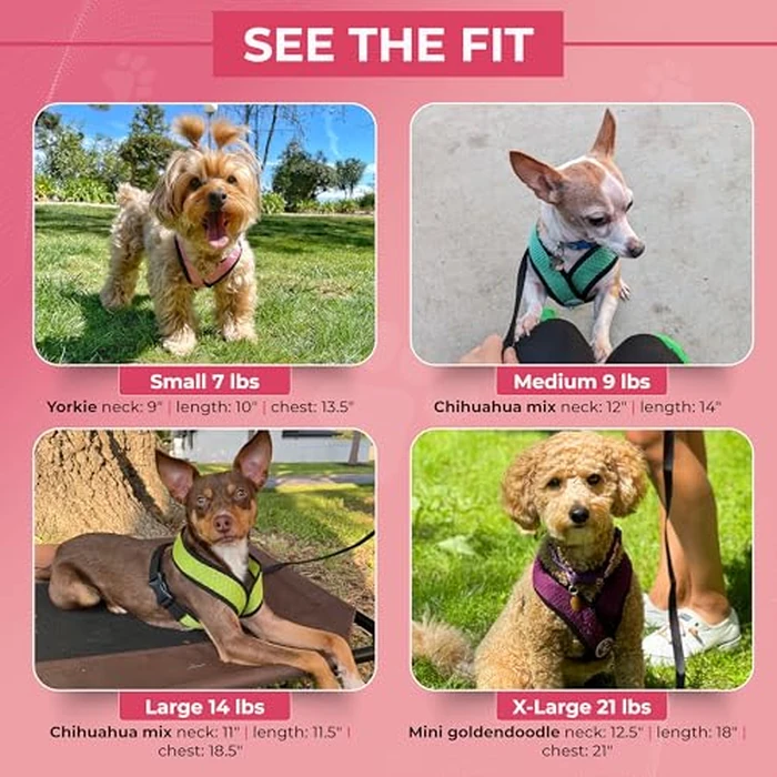 Gooby Comfort X Head in Harness - Green, Medium - No Pull Small Dog Harness Patented Choke-Free X Frame - On The Go Dog Harness for Medium Dogs No Pull or Small Dogs for Indoor and Outdoor Use by GOOBY - Image 4
