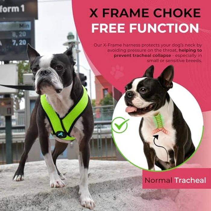 Gooby Comfort X Head in Harness - Green, Medium - No Pull Small Dog Harness Patented Choke-Free X Frame - On The Go Dog Harness for Medium Dogs No Pull or Small Dogs for Indoor and Outdoor Use by GOOBY - Image 5
