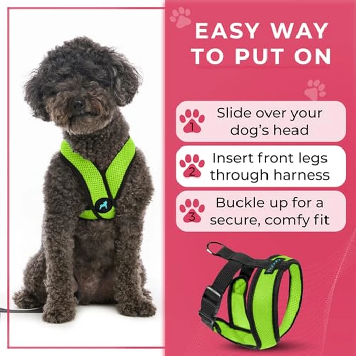 Gooby Comfort X Head in Harness - Green, Medium - No Pull Small Dog Harness Patented Choke-Free X Frame - On The Go Dog Harness for Medium Dogs No Pull or Small Dogs for Indoor and Outdoor Use by GOOBY - Image 6