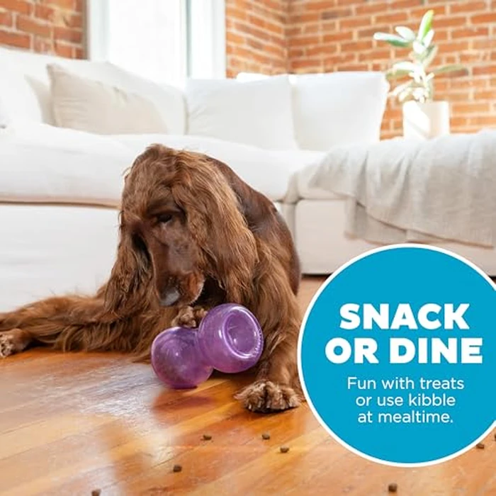 Outward Hound Double Snoop Interactive Treat Dispensing Dog Toy, Puzzle Ball Slow Feeder for Medium to Large Dogs, Mint-Scented for Mental Stimulation & Boredom Relief, 6in x 4in by Outward Hound - Image 5