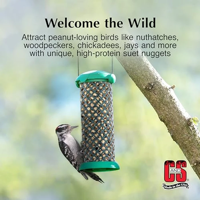 C&S Wild Bird Peanut Suet Nuggets Mega Box, 8 Pounds by C&S - Image 4