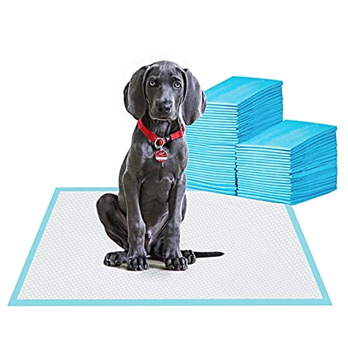 BESTLE Large Pet Training and Puppy Pads Pee Pad for Dogs 24"x24"-80 Count Super Absorbent & Leak-Proof by BESTLE - Used - Like New condition - US$23.98
