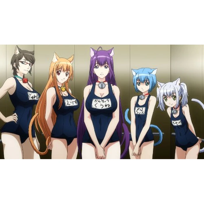 Cat Planet Cuties (Asobi Ni Iku Yo!): Complete Series (Limited Edition Blu-ray/DVD Combo) by Funimation - Image 2