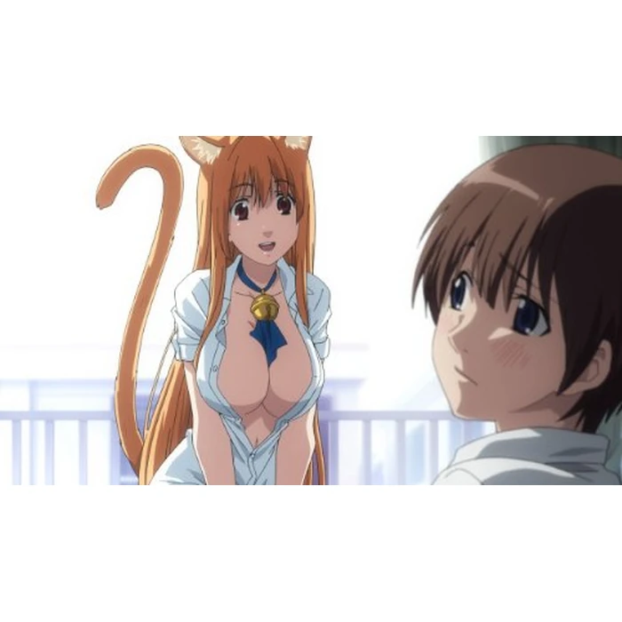 Cat Planet Cuties (Asobi Ni Iku Yo!): Complete Series (Limited Edition Blu-ray/DVD Combo) by Funimation - Image 5