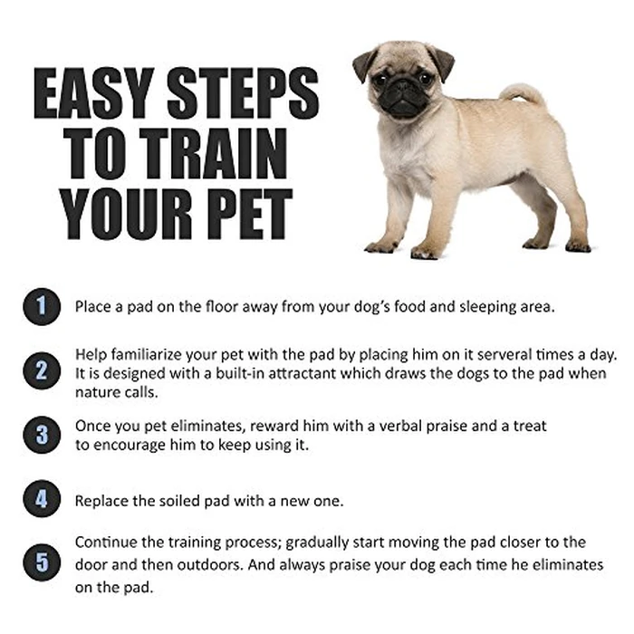 BV Puppy Pads Leak-Proof 100 Count 22"x 22" - Absorbent Pee Pads for Dogs with 6-Layer Design, Rapid Dry Sheet & Built-in Attractant - Dog Pad with Odor Control, Perfect for Puppies & Senior Dogs by BV - Image 6