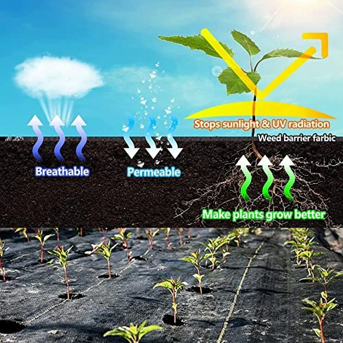 LAVEVE 4FT x 100FT Weed Barrier Landscape Fabric, 3.2oz Premium Heavy Duty Garden Cloth, Ground Cover for Gardening, Farming by LAVEVE - Image 3