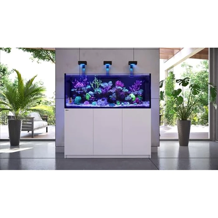 Red Sea Reef Foundation C Magnesium (Mg) Supplement, 1000ml - Maintains Magnesium Balance for Healthy Corals in Marine & Reef Aquariums by Red Sea - Image 4