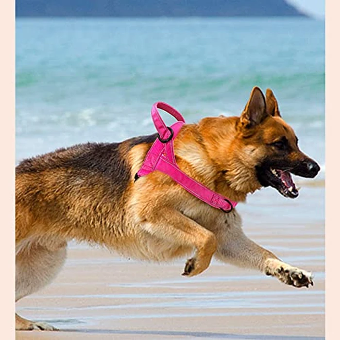 QIFBYFB No Pull Dog Harness Pink for Small Medium Large Sized Dog, Reflective Escape Proof Adjustable Dog Harnesses with 2 Patch, M by QIFBYFB - Image 3