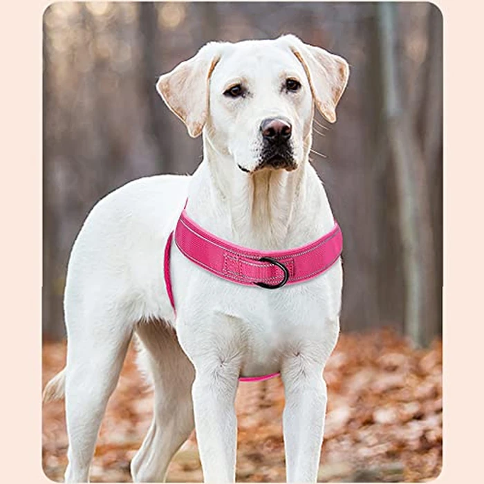 QIFBYFB No Pull Dog Harness Pink for Small Medium Large Sized Dog, Reflective Escape Proof Adjustable Dog Harnesses with 2 Patch, M by QIFBYFB - Image 4