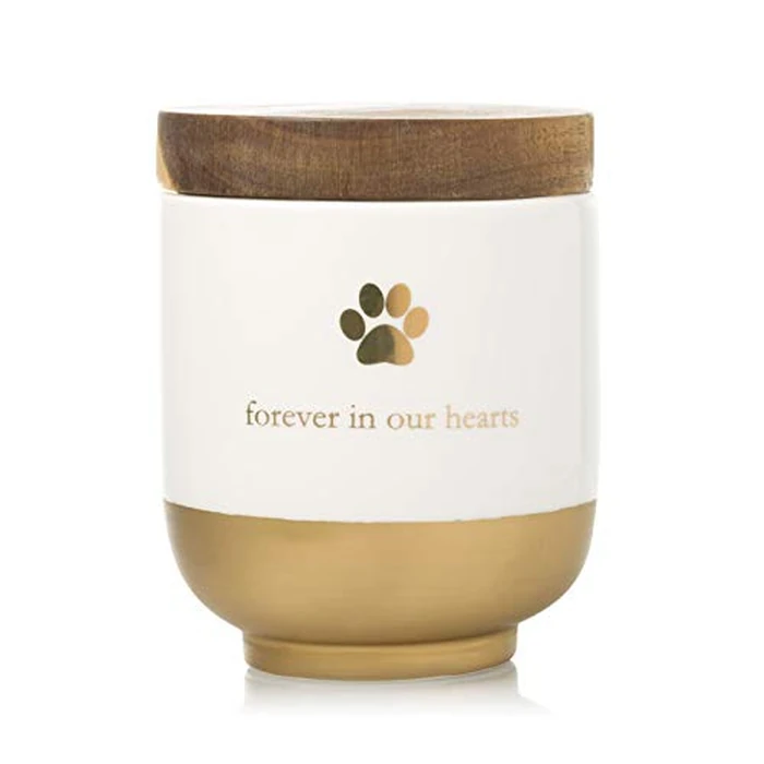 Pearhead Pet Ceramic Forever in Our Hearts Urn, Pet Memorial, Dog Or Cat Keepsake Urn, Rainbow Bridge, Gold by Pearhead - Image 1