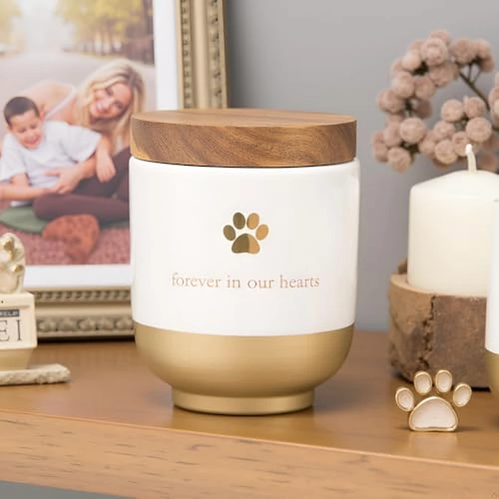 Pearhead Pet Ceramic Forever in Our Hearts Urn, Pet Memorial, Dog Or Cat Keepsake Urn, Rainbow Bridge, Gold by Pearhead - Image 4
