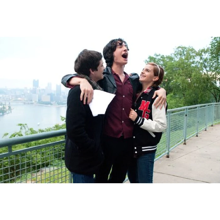 The Perks of Being a Wallflower by Lionsgate - Used - Good condition - US$1.32