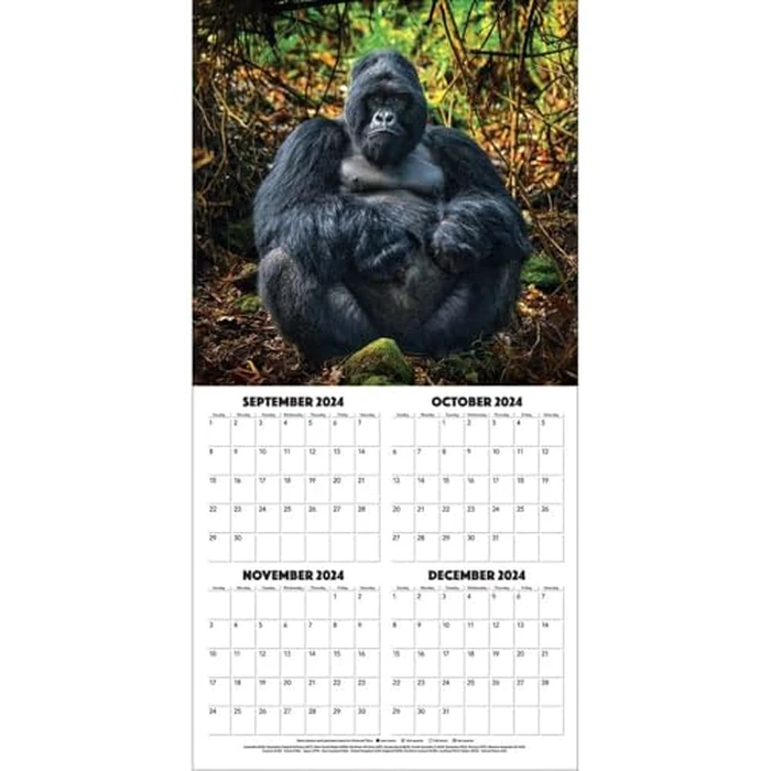 TURNER PHOTOGRAPHIC African Safari 12x12 Photo Wall Calendar (25998940002) by Turner Licensing - Image 4