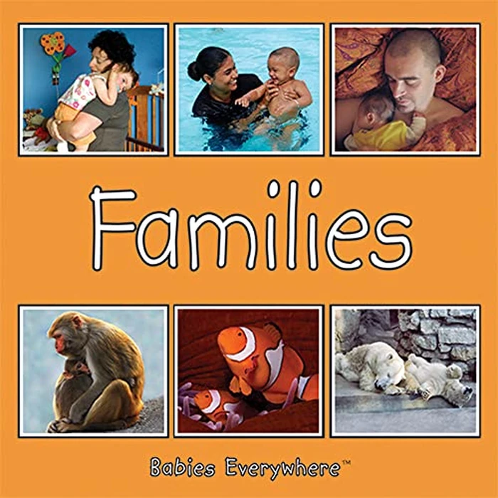 Families (Babies Everywhere) by Star Bright Books - Used - Good condition