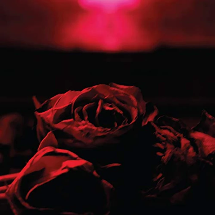 Roses by NETTWERK - Used - Acceptable condition
