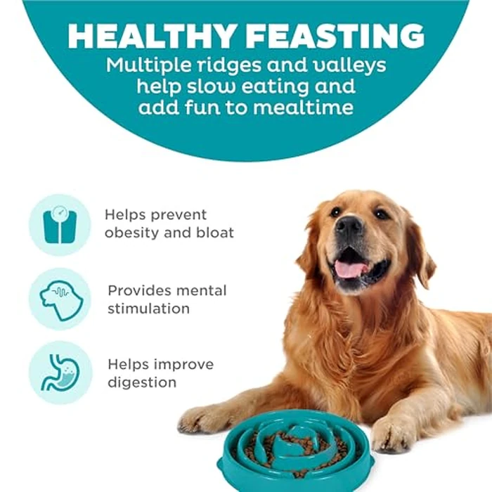 Outward Hound Fun Feeder Slo Bowl - Large 4‑Cup Capacity, Slow Feeding, Medium to Large Dogs, Non‑Slip, Turquoise, Drop Pattern by Outward Hound - Image 2