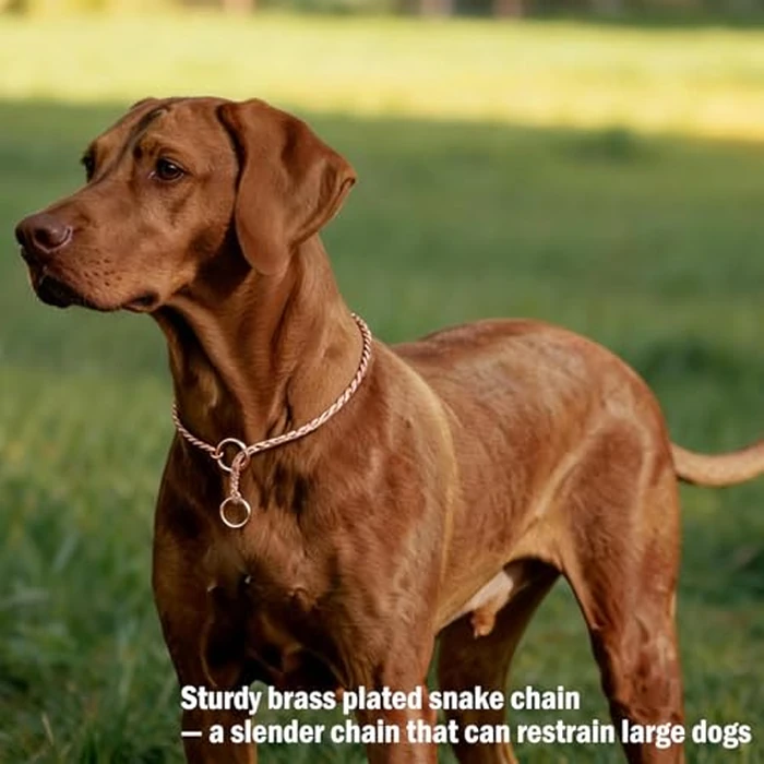 Ximipet Heavy Duty Dog Choke Collar Slip Dog P Chain Snake Collar Plating Anti-Rust Dog Training Collars for Small Large Dogs Black/Gold/Silver/Rose Gold 15.5in-29.5in (29.5in, Rose Gold) by Ximipet - Image 5