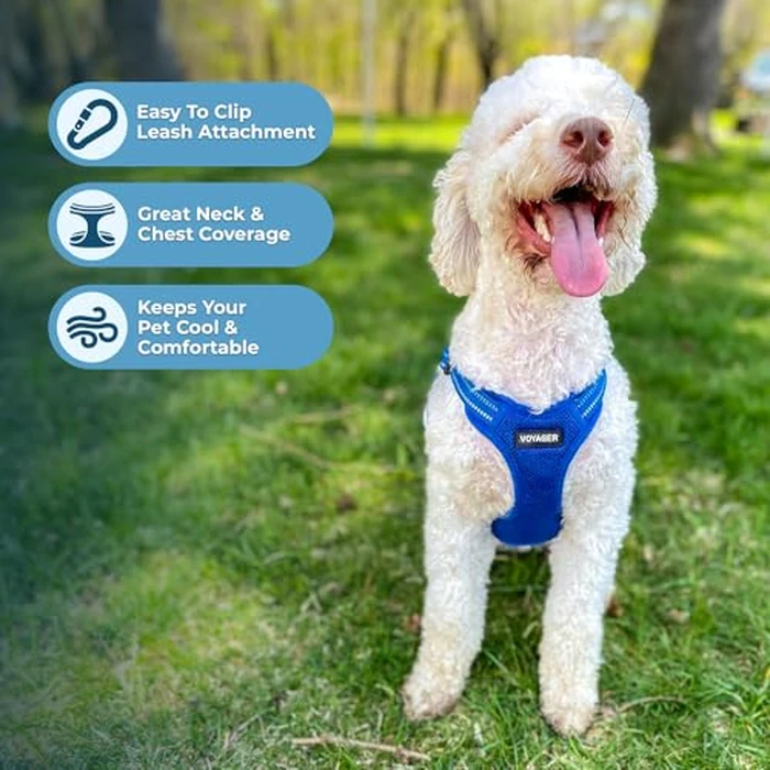 Best Pet Supplies Voyager Mesh Dog Breathable Harness Reflective Stitching, All Weather Adjustable for Walking Training, or Running - Heavy Duty & Durable, Harness (Royal Blue), M by Best Pet Supplies - Image 5