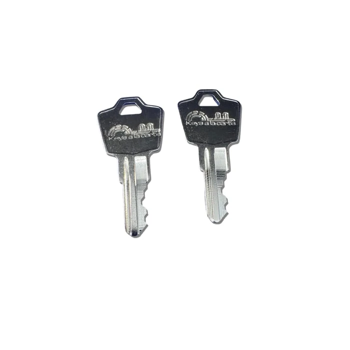 SentrySafe Replacement Key Z Code | Compatible with Sentry Fireproof Boxes & Chests | KEYSALACARTE Brand | Cut on 1531 Key Blank by KEYSALACARTE - Used - Like New condition