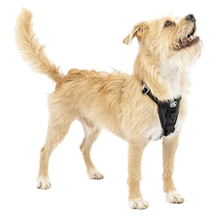 Kurgo Enhanced Strength Tru-Fit Smart Dog Harness, Crash Tested Car Safety Harness for Dogs, No Pull Dog Harness, Includes Pet Safety Seat Belt Tether - Black, X-Small by Kurgo - Used - Very Good condition