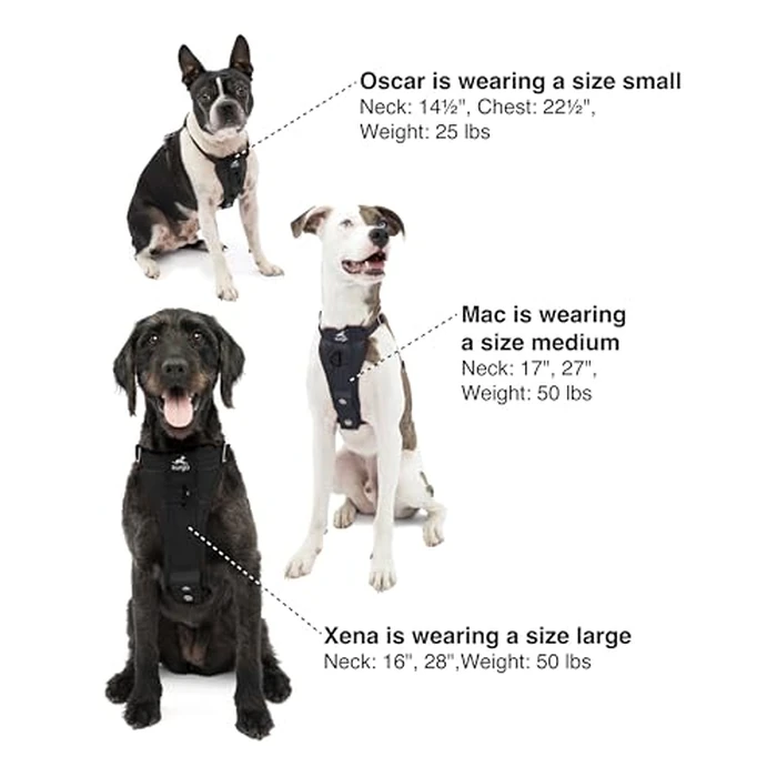 Kurgo Enhanced Strength Tru-Fit Smart Dog Harness, Crash Tested Car Safety Harness for Dogs, No Pull Dog Harness, Includes Pet Safety Seat Belt Tether - Black, X-Small by Kurgo - Image 6