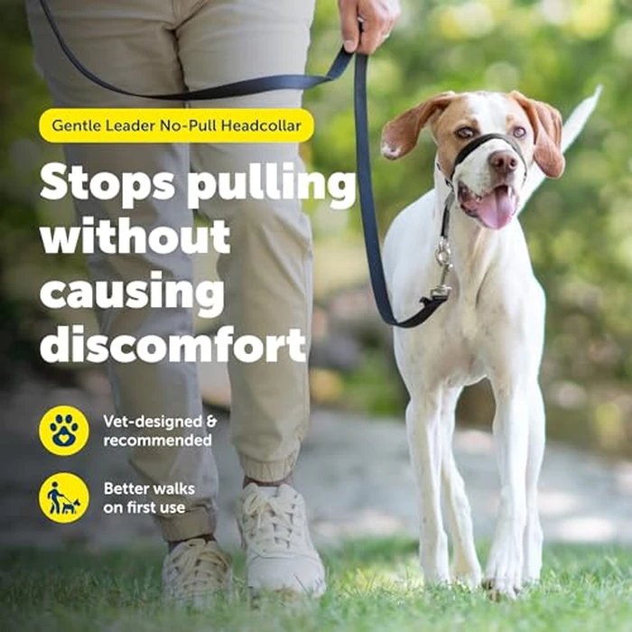 PetSafe Gentle Leader No-Pull Dog Headcollar - The Ultimate Solution to Pulling - Redirects Your Dog's Pulling for Easier Walks - Helps You Regain Control - Medium, Black by PetSafe - Image 2