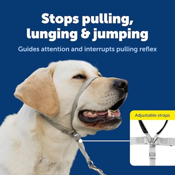 PetSafe Gentle Leader No-Pull Dog Headcollar - The Ultimate Solution to Pulling - Redirects Your Dog's Pulling for Easier Walks - Helps You Regain Control - Medium, Black by PetSafe - Image 3