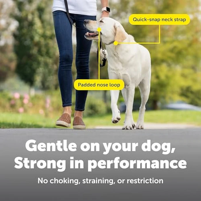 PetSafe Gentle Leader No-Pull Dog Headcollar - The Ultimate Solution to Pulling - Redirects Your Dog's Pulling for Easier Walks - Helps You Regain Control - Medium, Black by PetSafe - Image 4