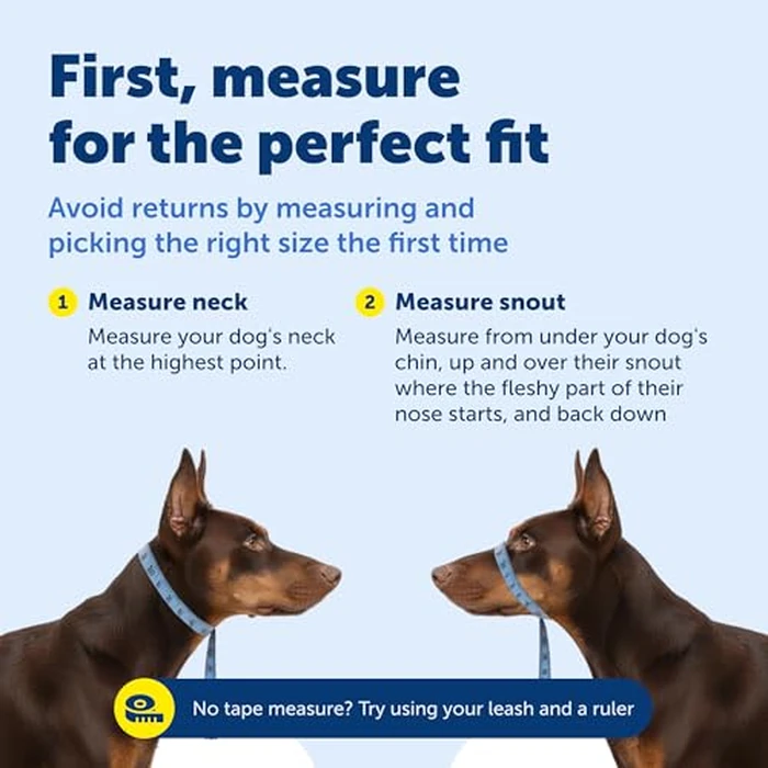 PetSafe Gentle Leader No-Pull Dog Headcollar - The Ultimate Solution to Pulling - Redirects Your Dog's Pulling for Easier Walks - Helps You Regain Control - Medium, Black by PetSafe - Image 6