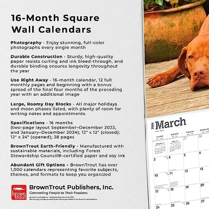 Vizslas | 2024 12 x 24 Inch Monthly Square Wall Calendar | BrownTrout | Animals Dog Breeds by BrownTrout - Image 3