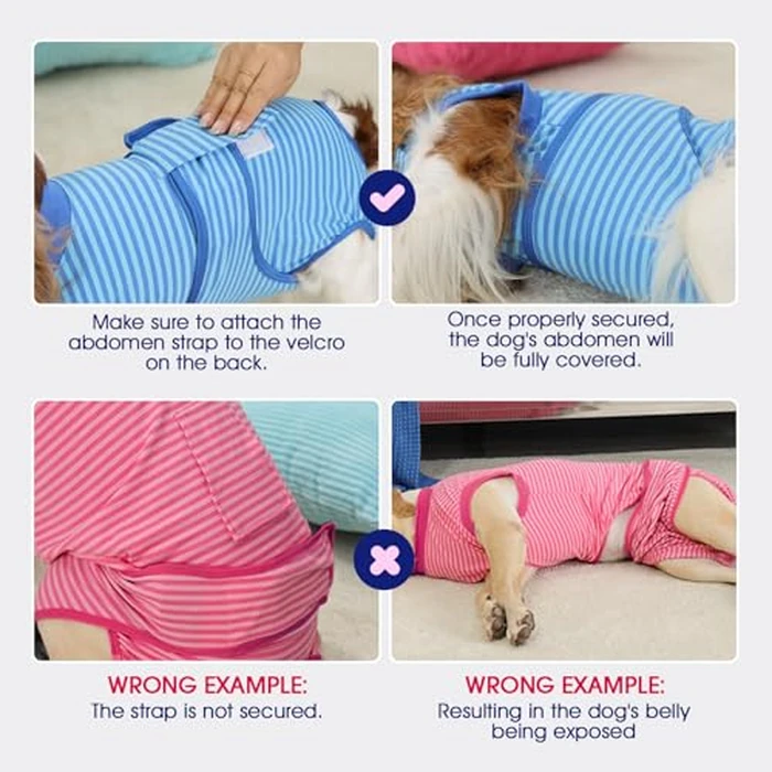 FUAMEY Recovery Suit for Dogs Cats After Surgery,Soft Breathable Pet Bodysuit E-Collar & Cone Alternative Surgical Suit Puppy Wear, Anti Licking Wounds Doggie Onesie Dog Neuter Shirt Mint Green XL by FUAMEY - Image 9