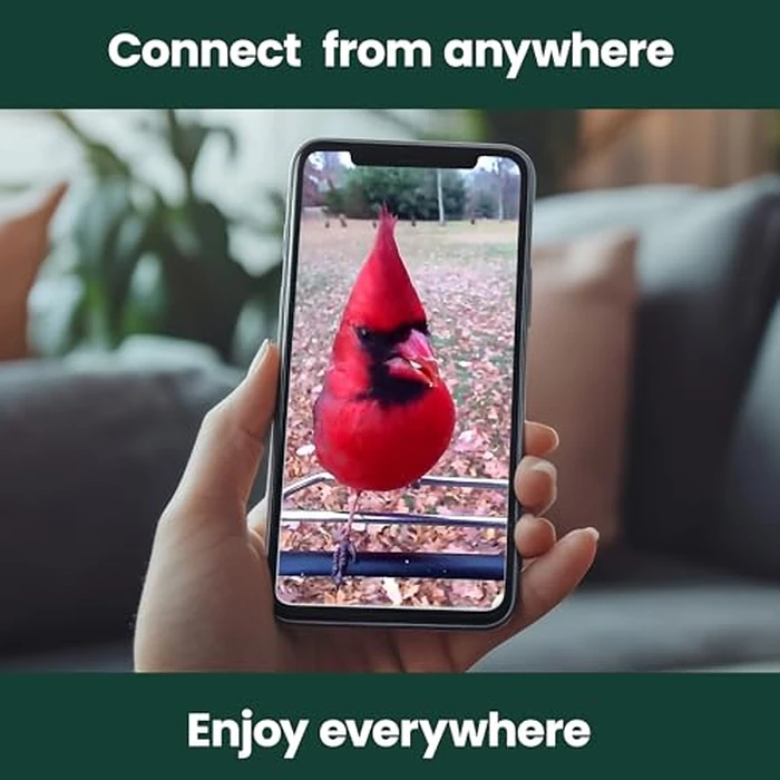 Perky-Pet Solar Powered Smart Bird Feeder with Camera - Squirrel-Resistant, 3.2L Capacity, Motion Activated 1080p HD WiFi Live Stream Camera, SPCAM, SPCAMSLR - Camera Feeder Gift Idea, Forest Green by Perky-Pet - Image 5