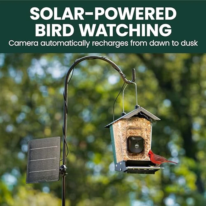 Perky-Pet Solar Powered Smart Bird Feeder with Camera - Squirrel-Resistant, 3.2L Capacity, Motion Activated 1080p HD WiFi Live Stream Camera, SPCAM, SPCAMSLR - Camera Feeder Gift Idea, Forest Green by Perky-Pet - Image 6