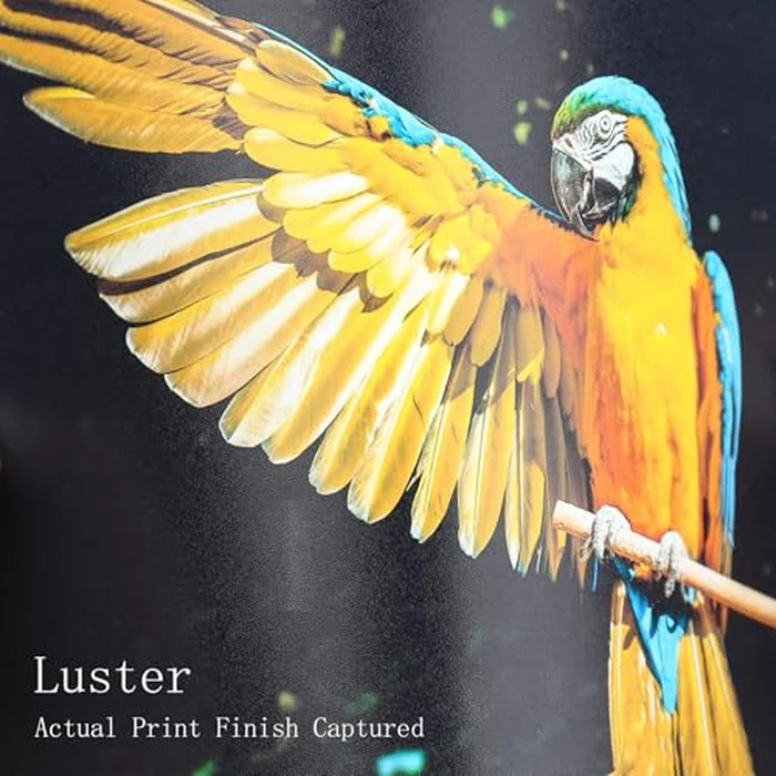 Koala Premium Photo Paper 8.5 x 11 in Luster Photo Printer Paper for Inkjet Printer Water-Resistant Soft Gloss 66lb 50 Sheets by KOALA PAPER - Image 2