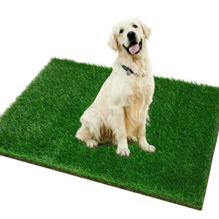 Grass Pad for Dogs 51.2 x 31.5 inches - Strong Absorbency Soft Artificial Grass for Pets Potty Training - Easy to Clean - for Dog Indoor Outdoor Use (1 Pack) by PICK FOR LIFE - Used - Like New condition - US$24.70