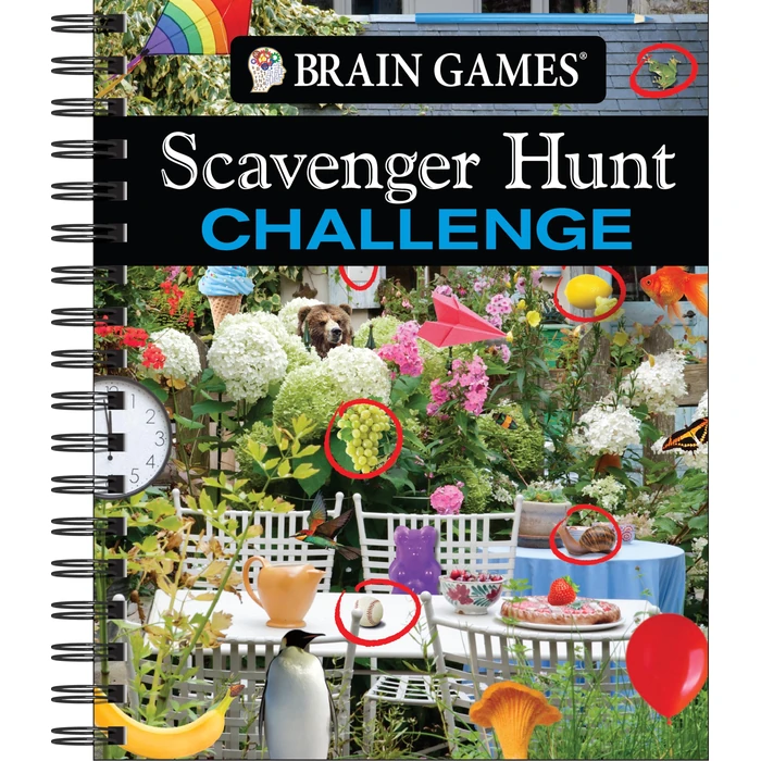 Brain Games - Scavenger Hunt Challenge (Volume 2) by Publications International, Ltd. - Used - Acceptable condition - CA$12.26
