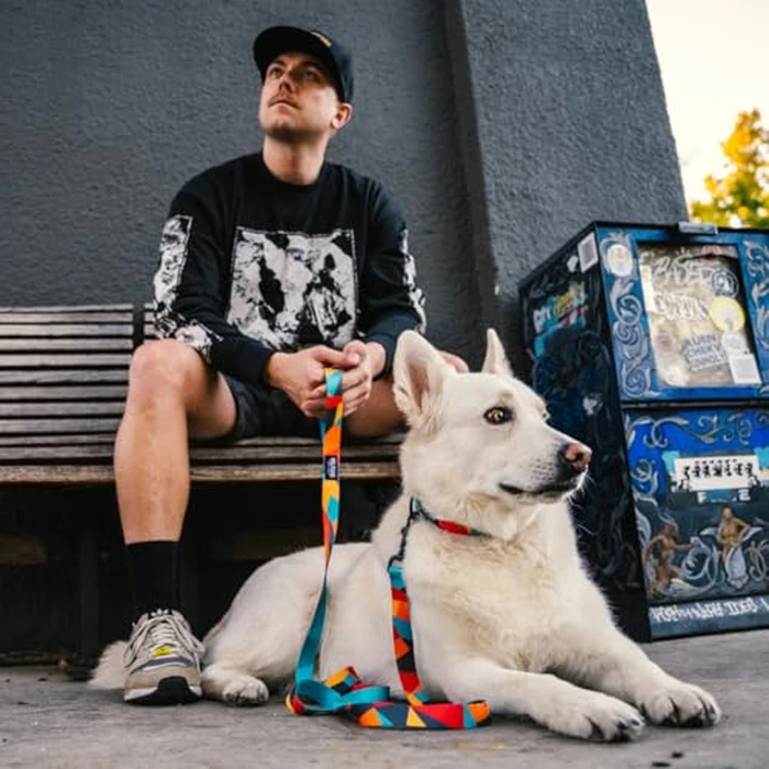 Wolfgang Heavy Duty Dog Leash, Pull-Tested to Over 800 lbs for Walking & Training, ShatterShapes Print, Dual-Handle Large by Wolfgang Man & Beast - Image 4