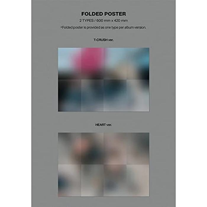 dreamus Stray Kids [ MAXIDENT ] STANDARD EDITION album T-CRUSH ver, Black by DREAMUS - Image 7