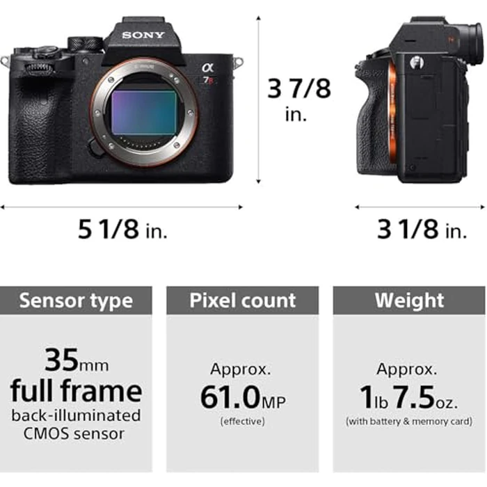 Sony Alpha 7R Mark IV Full-frame Mirrorless Interchangeable Lens Camera (ILCE7RM4/B), Black by Sony - Image 9