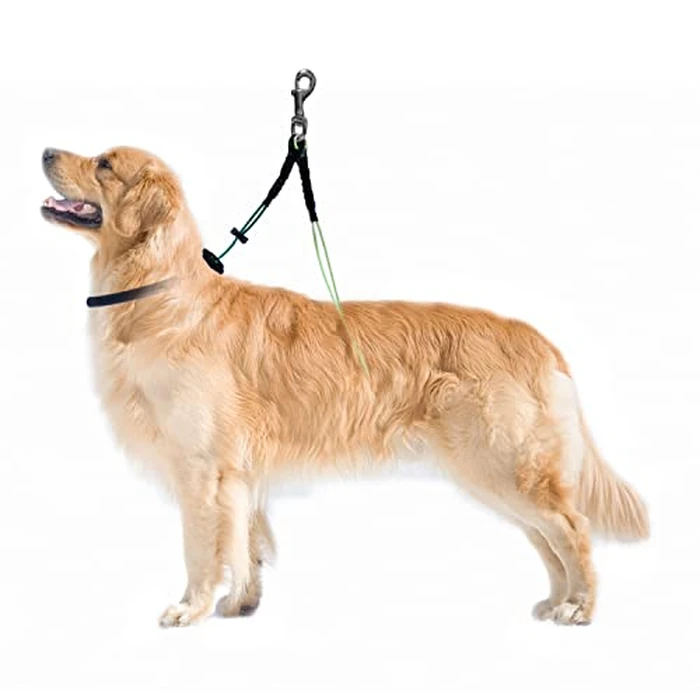 Foldable Grooming Arm with Clamp and Dog Grooming Loop + Free Small/Medium No Sit Haunch Holder by Downtown Pet Supply ... (Small-Medium Haunch) by Downtown Pet Supply - Image 7