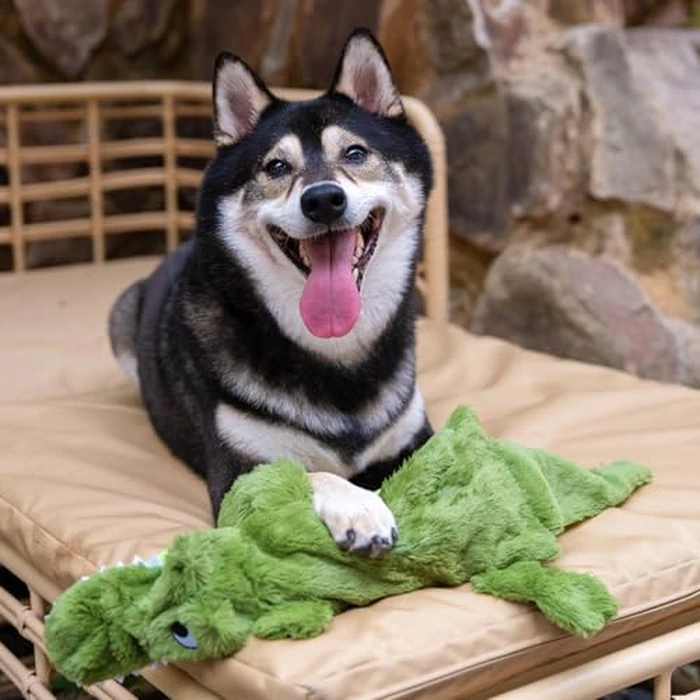 Best Pet Supplies Squeaky Dog Toys with Soft Durable Fabric for Small, Medium and Large Pets Interactive Toy for Indoor Play, Supports Active Biting and Play - 4 Figures, Medium by Best Pet Supplies - Image 9