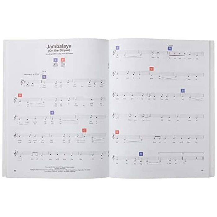 ChordBuddy Learning System - Guitar | Sheet Music Songbook for Beginners |Guitar Method with Color-Coded Instruction Book, DVD and ChordBuddy Device | Easy Step-by-Step Guitar Training for Students by CHORD BUDDY - Image 6